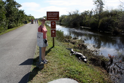 everglades-1-3-2009-2-08-20-pm Debi by a 6 foot alligator