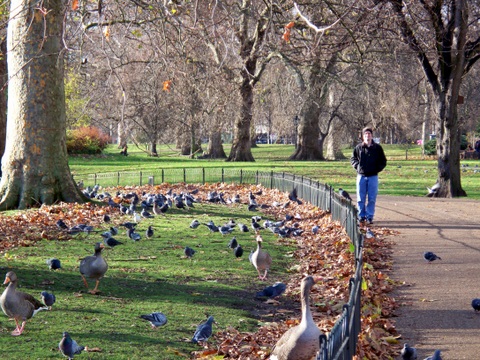 St. James Park 12-12-2009 8-49-59 AM