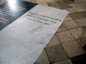 Westminster Abbey - Darwin's grave