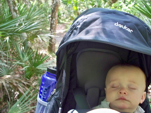 Hillsborough River State Park 4-11-2010 3-06-13 PM