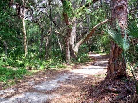 Boyd Hill Nature Preserve 5-16-2010 3-44-16 PM