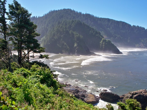 Heceta Head lighthouse and trail 7-6-2010 1-36-48 PM