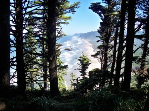 Heceta Head lighthouse and trail 7-6-2010 2-26-34 PM