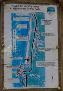 Hobbit Trail and Beach 7-6-2010 2-43-28 PM