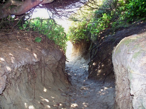 Hobbit Trail and Beach 7-6-2010 2-55-03 PM