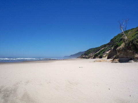 Hobbit Trail and Beach 7-6-2010 2-57-07 PM