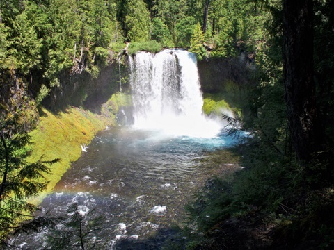 Sahalie and Koosah Falls loop trail 7-8-2010 3-03-55 PM
