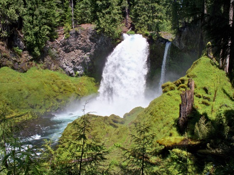 Sahalie and Koosah Falls loop trail 7-8-2010 3-16-43 PM