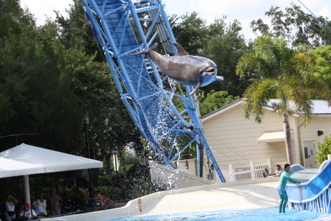 Sea World 5-29-2011 4-45-13 PM