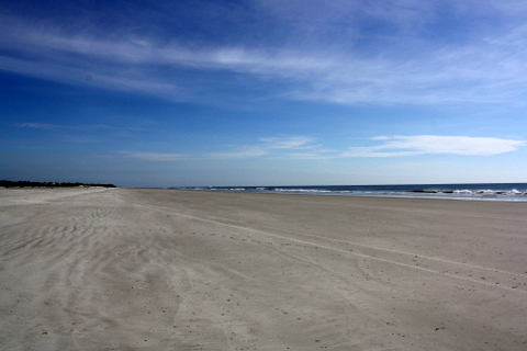 Little Talbot Island State Park 7-23-2011 9-35-57 AM