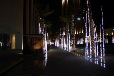 Dubai Mall 1-13-2012 10-51-34 AM
