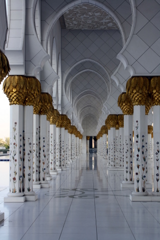 Sheikh Zayyad Mosque 1-7-2012 8-57-59 AM