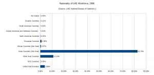 UAE workforce2008