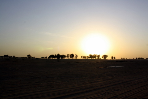 desert safari 1-12-2012 9-31-36 AM