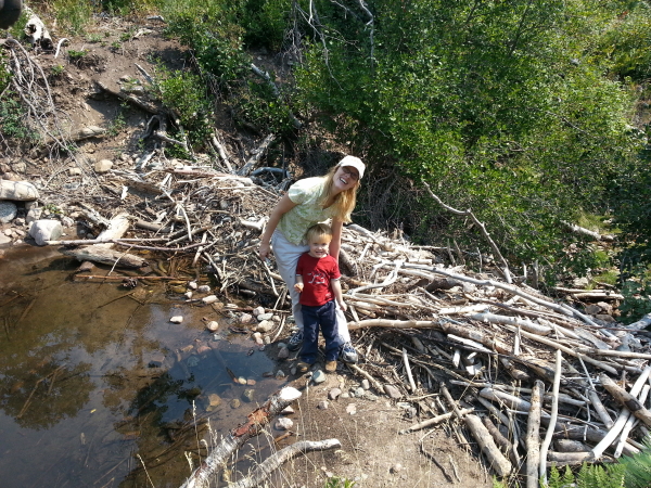 hike to beaver ponds - 2012-08-08T11:15:54