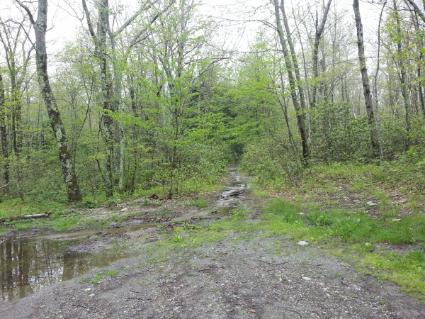 the lower 1/5 of the trail was a stream, ankle deep in parts