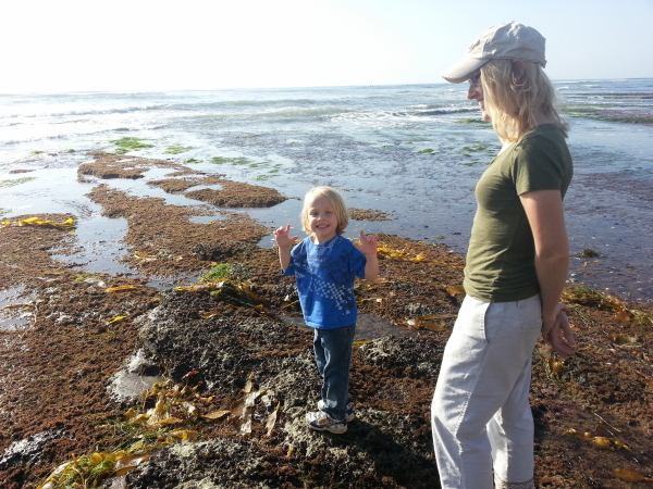 Exploring the beach.
