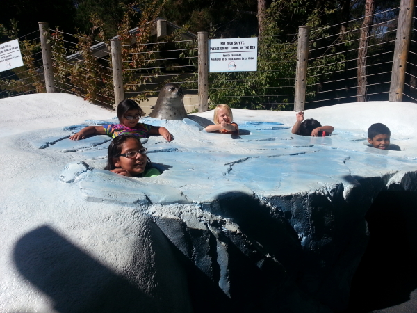 Toren pretending to be a seal