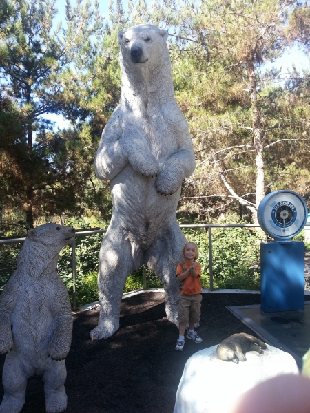 Toren is small compared to a polar bear