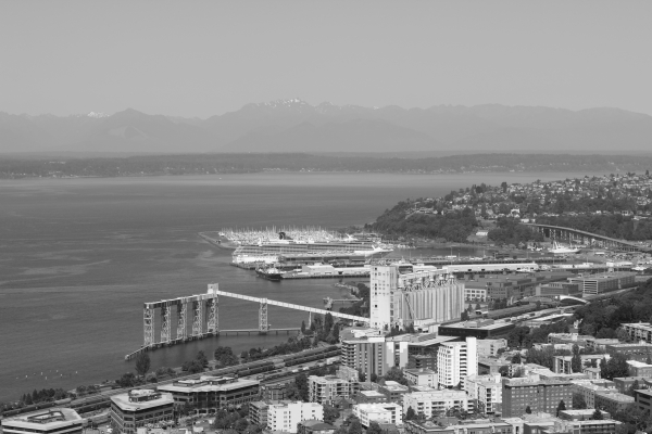 cruise ship from the Space Needle