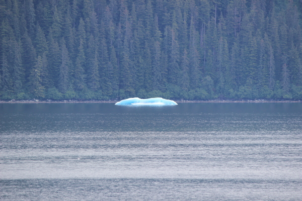 one of the many ice bergs we saw