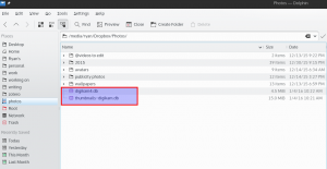 Digikam databases.