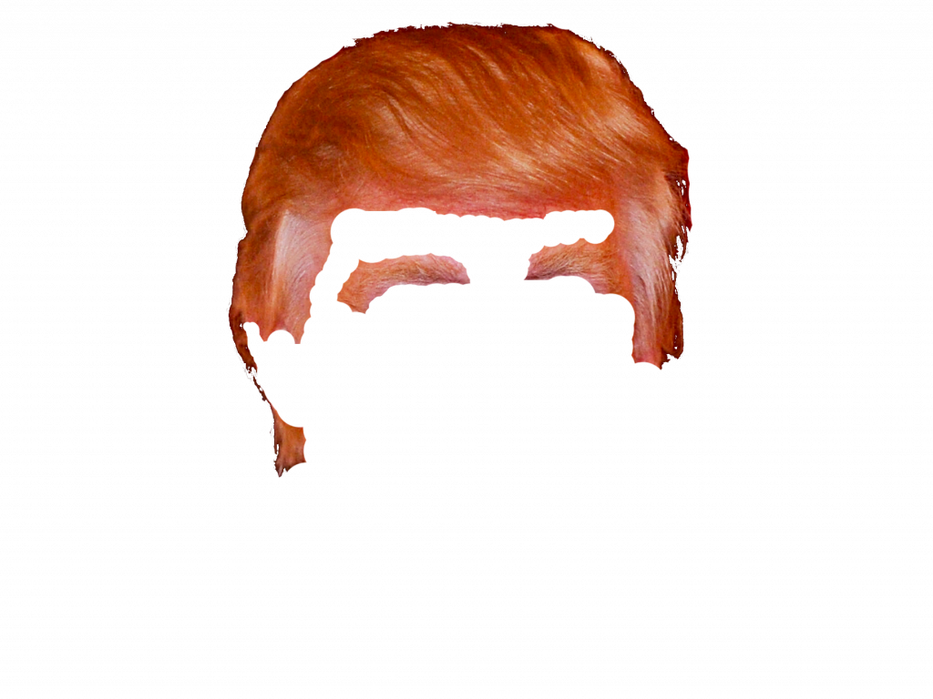 Donald Trump hair png