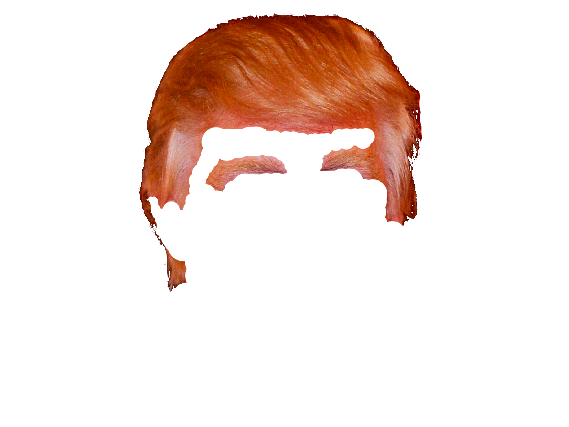 Blonde Trump Hair PNG Illustration - wide 4