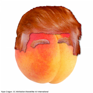Impeach the Peach #impeachthepeach