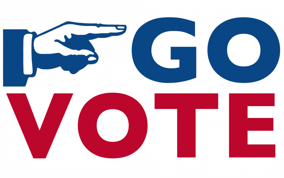 go vote sign