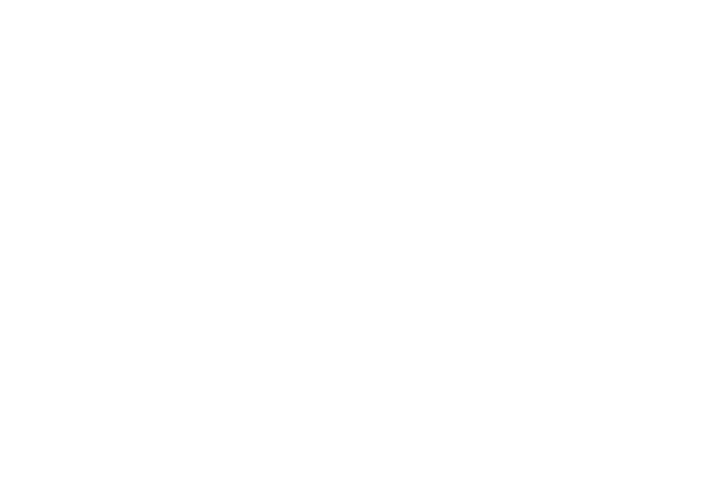blank white screen